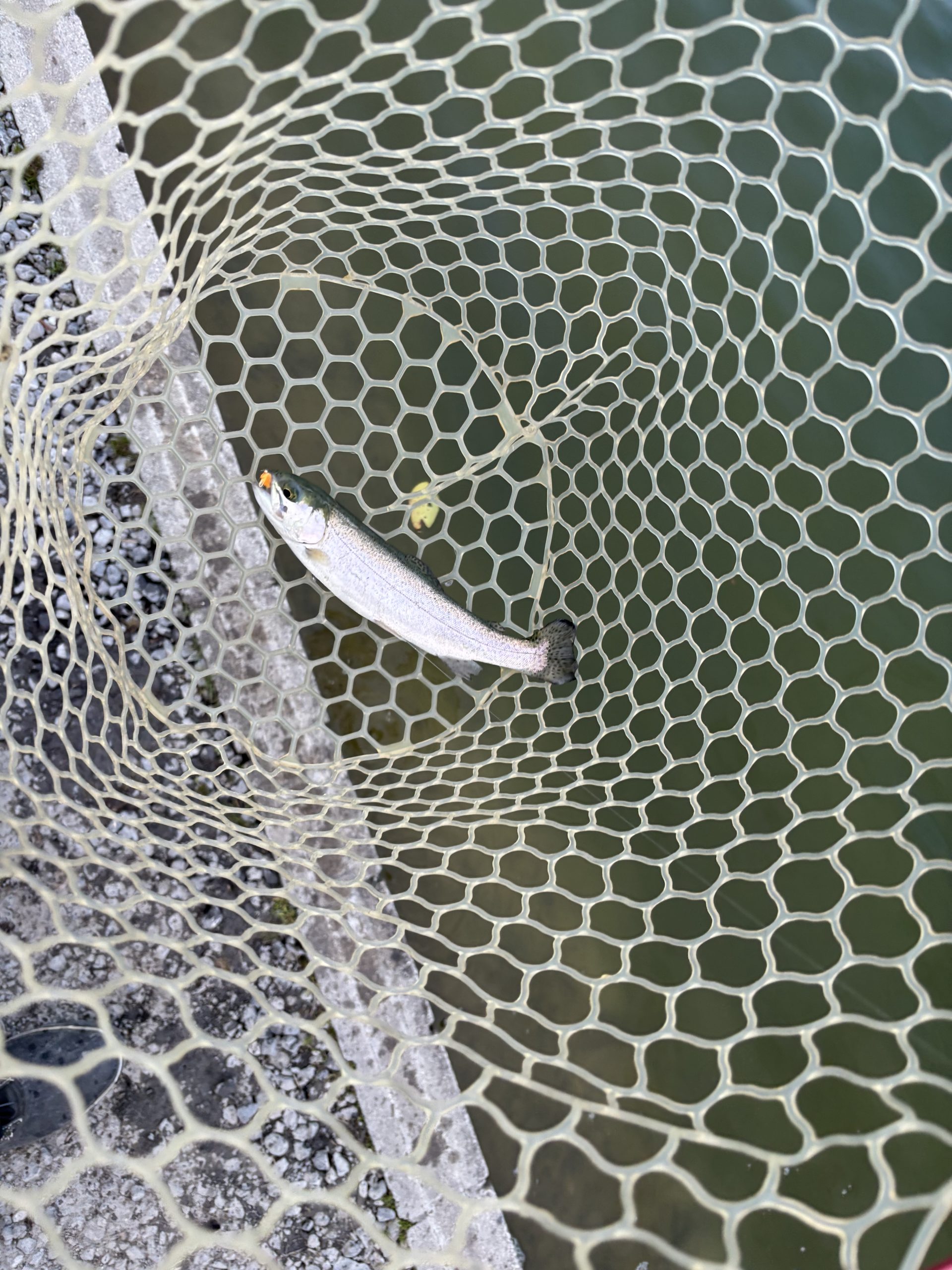 3月7日（土）入間市　大西　さん