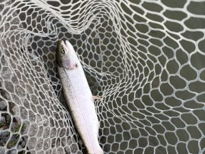 3月15日(日)　入間市　大西さん