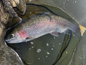 3月1日（日）町田市　から揚げ班長さん