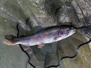 3月22日(日)　町田市　から揚げ班長さん