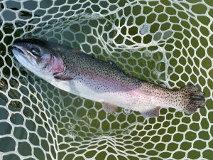 3月29日（日）入間市　フライマンYOKOZUKAさん