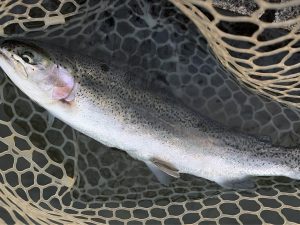 3月20日（金・祝）所沢市　Neoさん