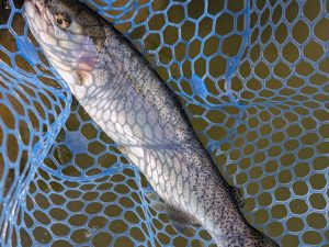 3月24日（火）茅ヶ崎市　スーさんさん