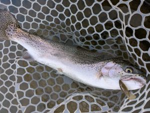 3月27日（金）西東京市　hiroさん