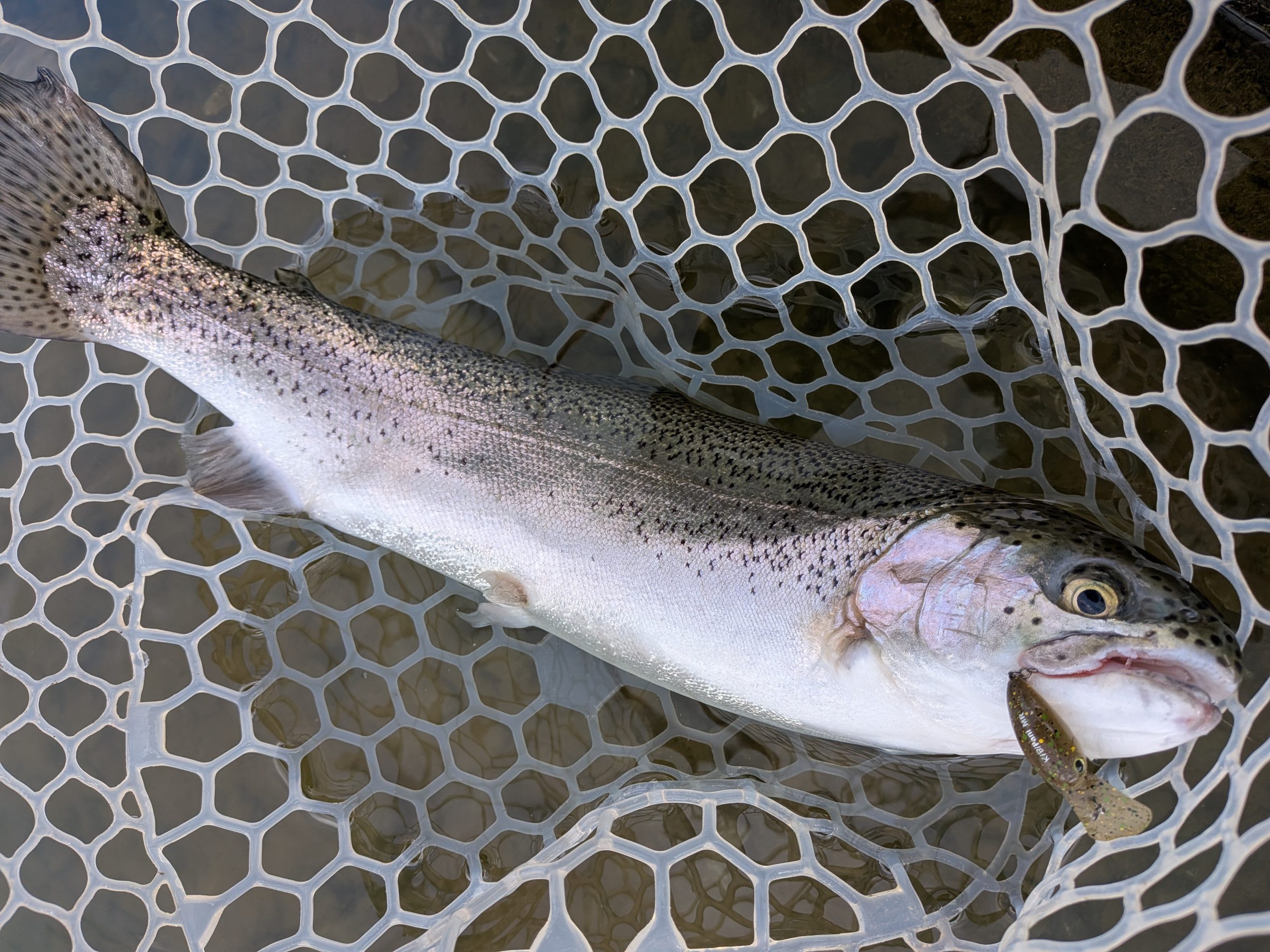 3月27日（金）西東京市　hiroさん