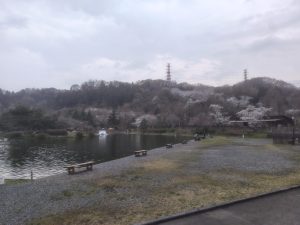 3月29日（日）日記