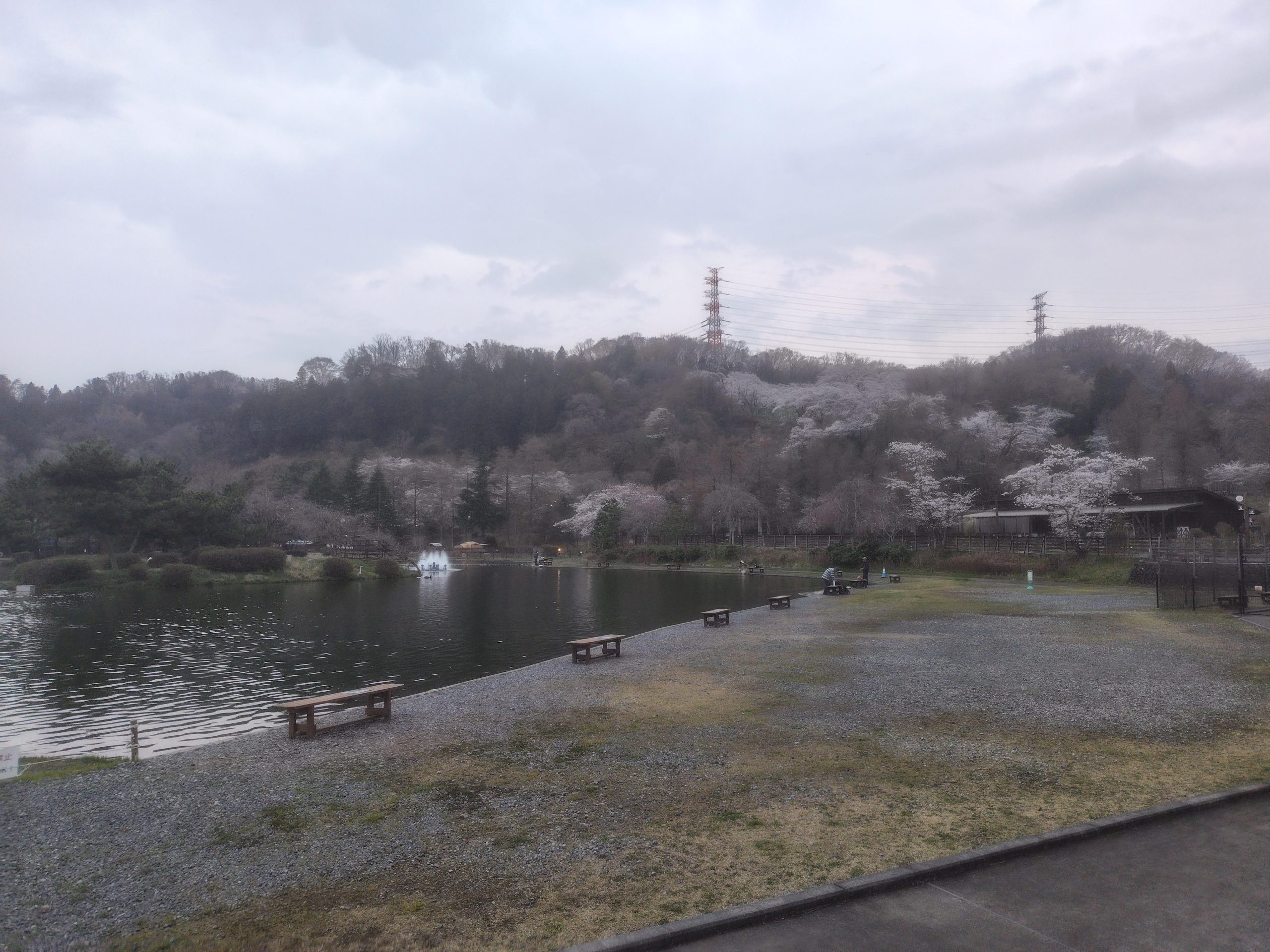 3月29日（日）日記