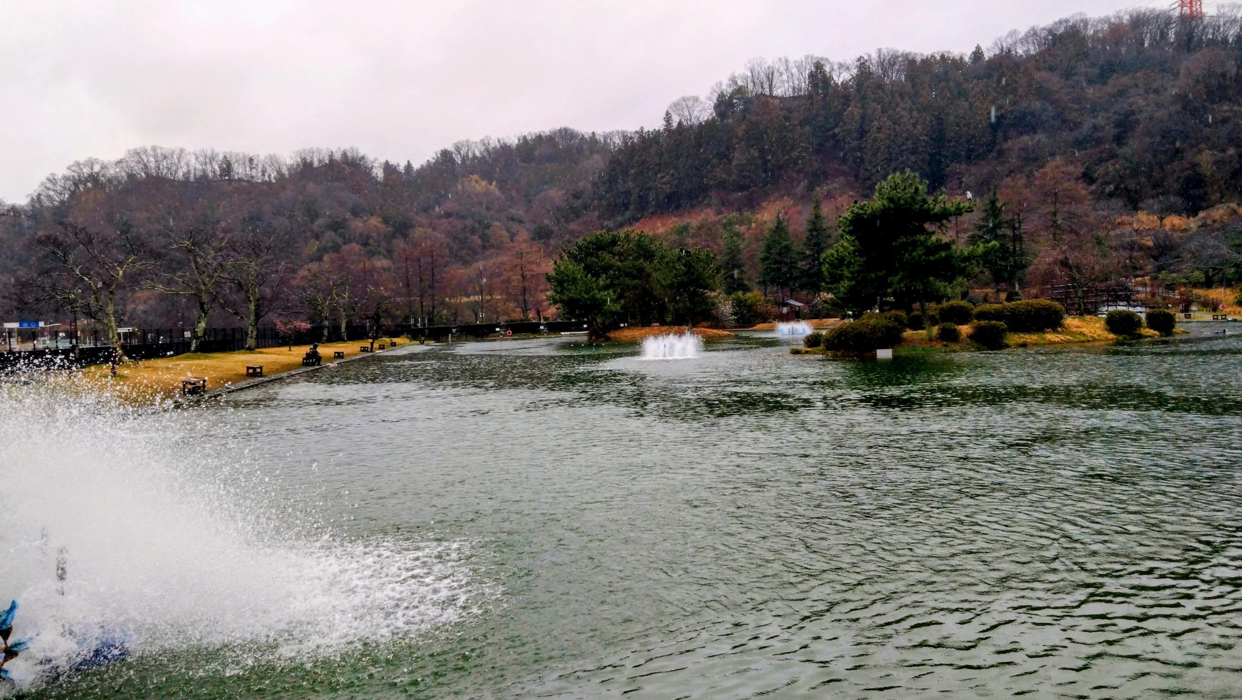 3月3日(火) 日記