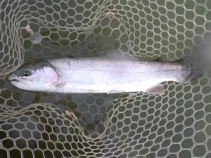 4月26日(日)　三鷹市　kazu53さん