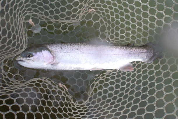 4月26日(日)　三鷹市　kazu53さん