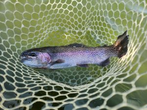 4月3日（金）あきる野市　a…hiranoさん