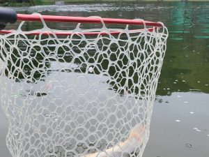 4月7日（火）　入間市　団子鱒さん