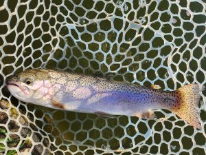 4月8日（水）あきる野市　a…hiranoさん