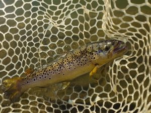 4月8日（水）坂戸市　イチローさん