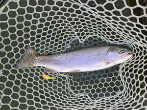 4月8日（水）八王子市　takaさん