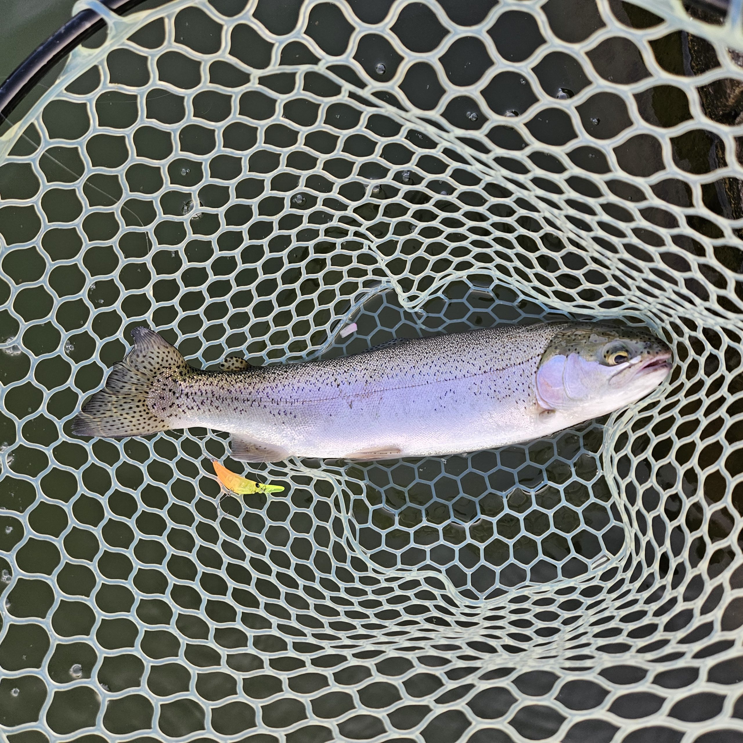 4月8日（水）八王子市　takaさん
