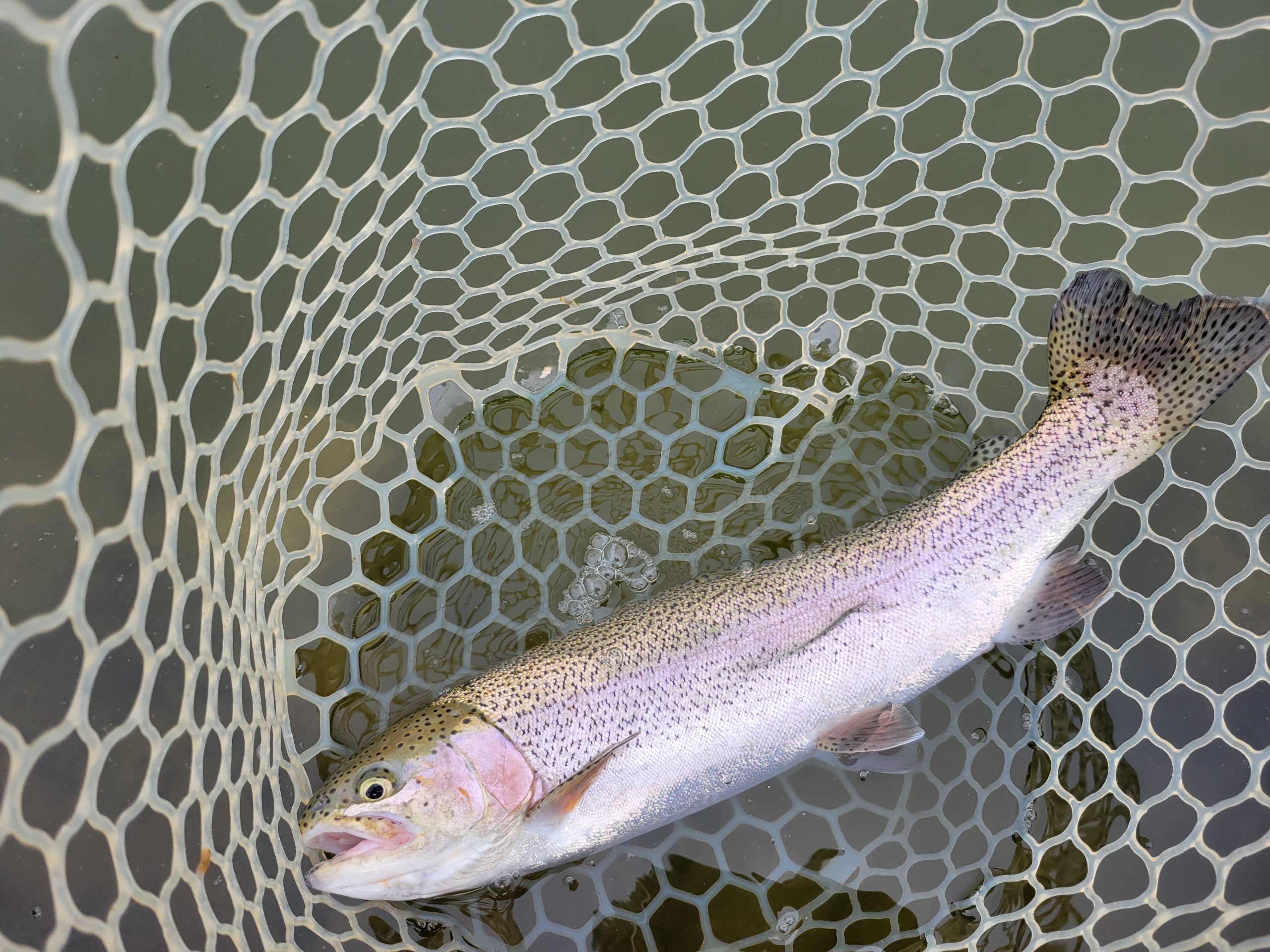 4月13日（月）東大和市　タカちゃんさん