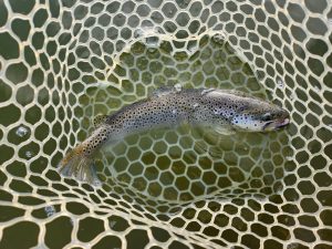 4月14日（火）あきる野市　あさん