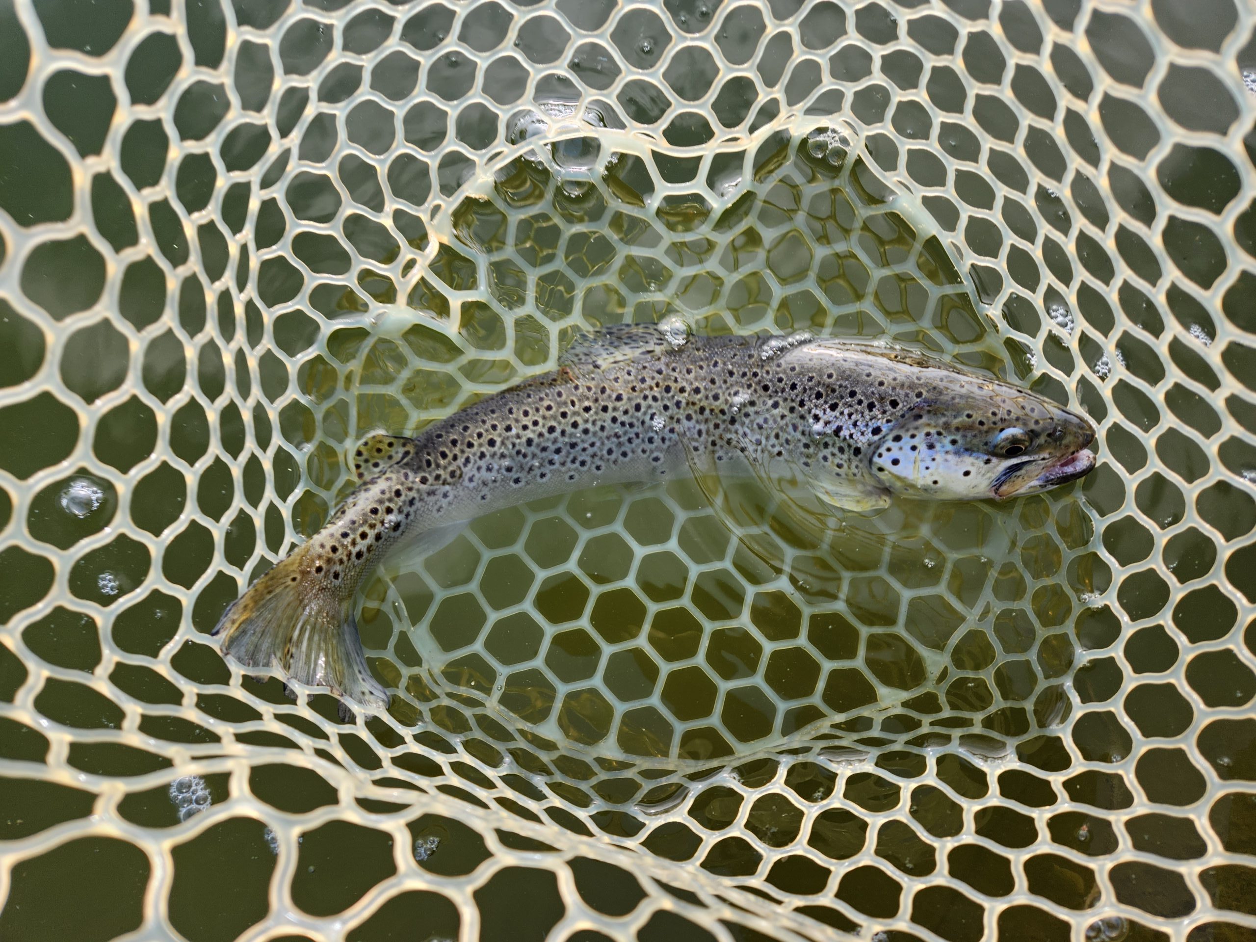 4月14日（火）あきる野市　あさん