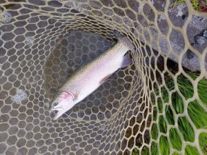 4月19日（日）八王子市　平山さん