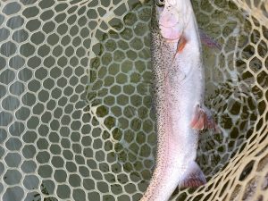 4月21日(火)　あきる野市　あさん