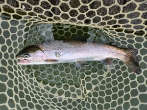 4月24日(金)あきる野市　a…hiranoさん