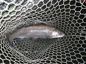 4月25日（土）稲城市　さかいさん