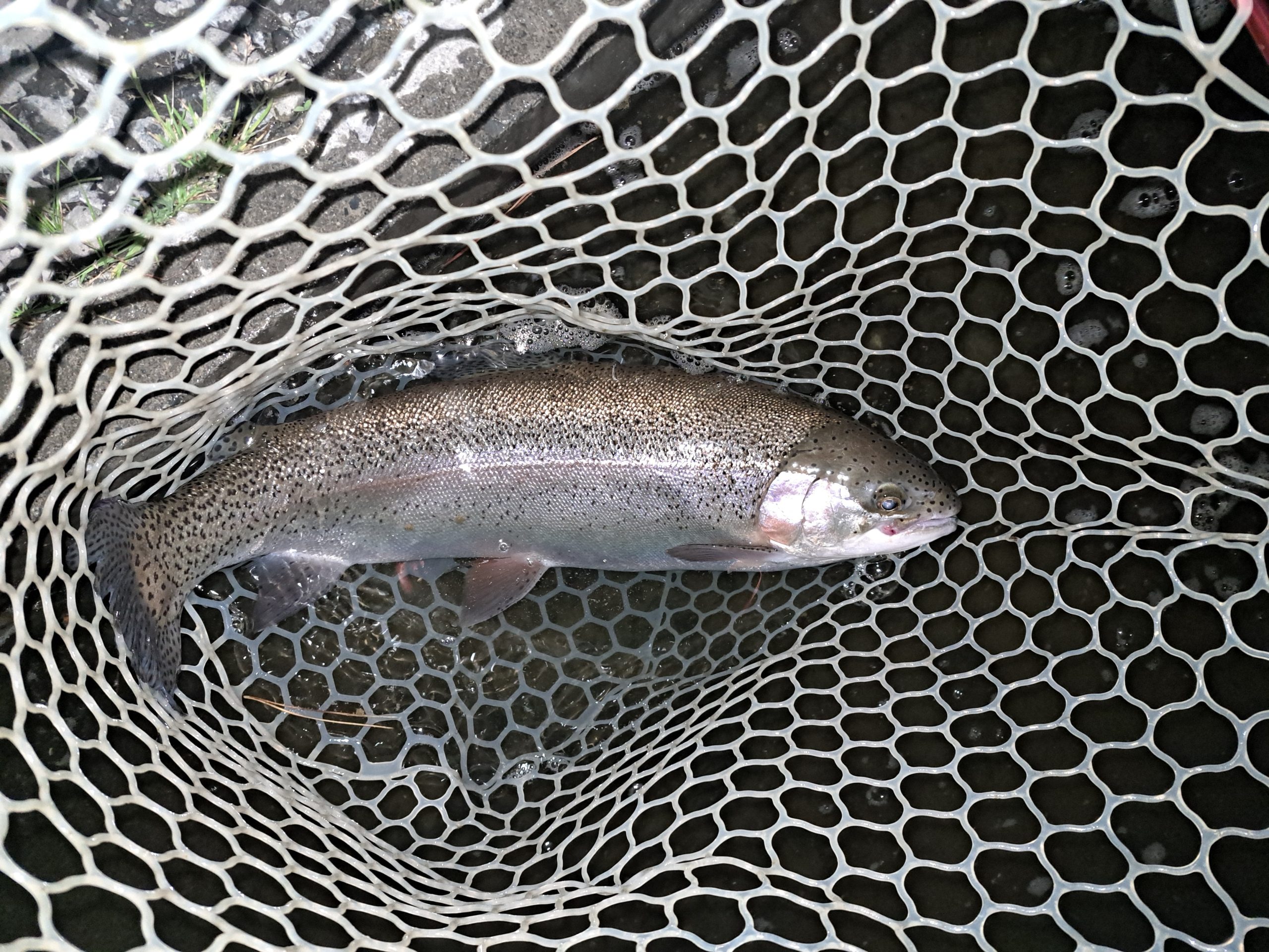 4月25日（土）稲城市　さかいさん