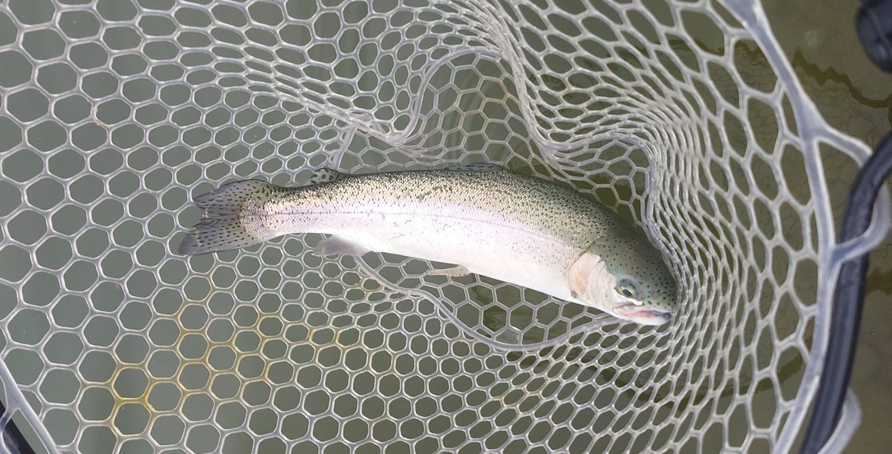 4月29日（水）市川市　RORSさん