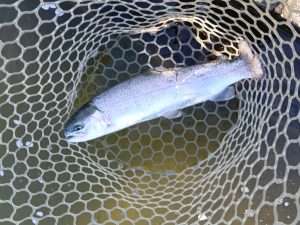 4月3日（金）所沢市　コロンレインボーさん