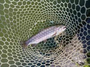 4月12日（日）所沢市　コロンレインボーさん