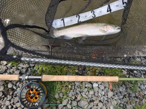 4月13日」（月）武蔵村山市　佐藤さん