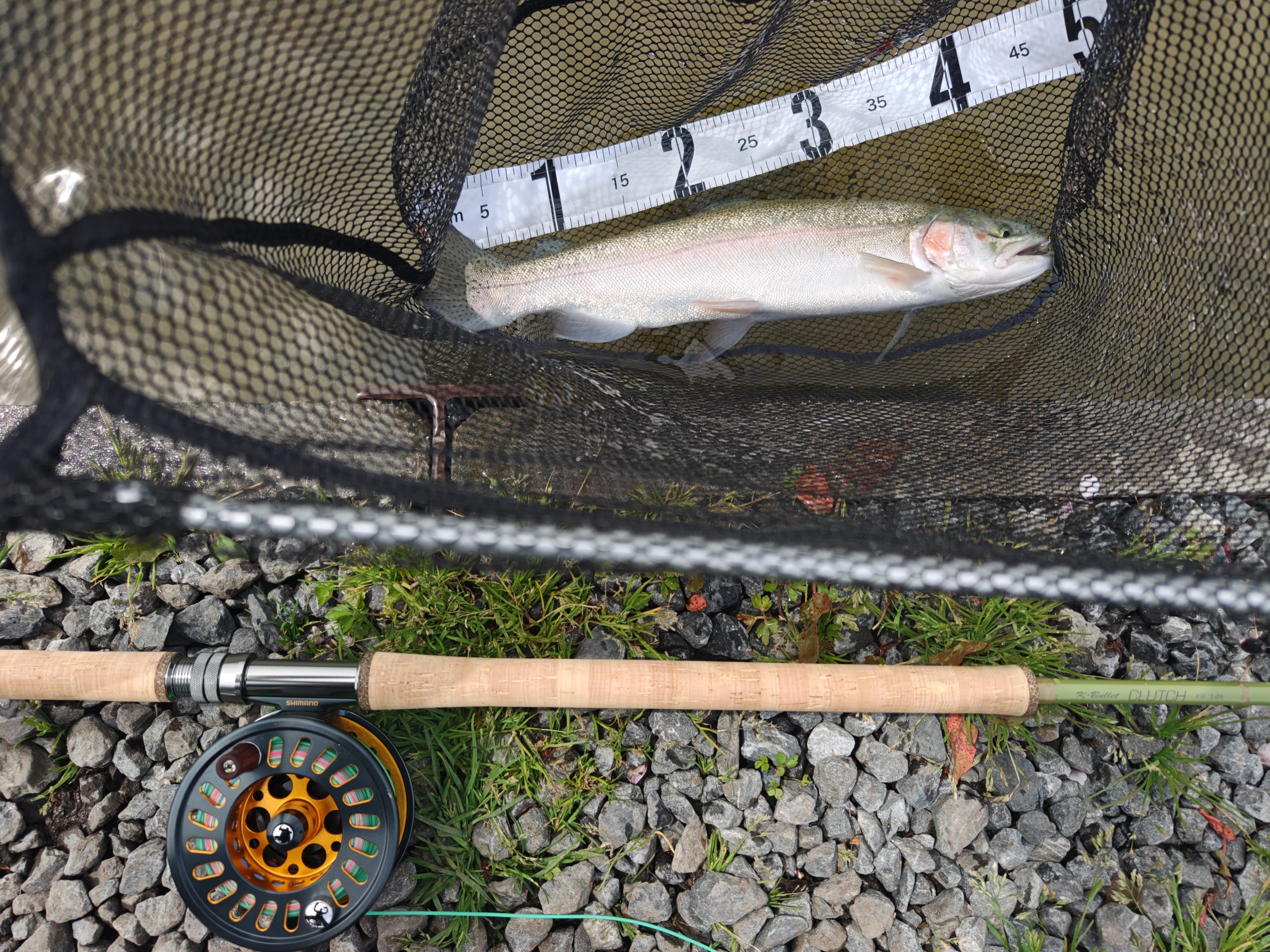 4月13日」（月）武蔵村山市　佐藤さん