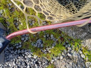 4月17日(金)　所沢市　コロレインボーさん