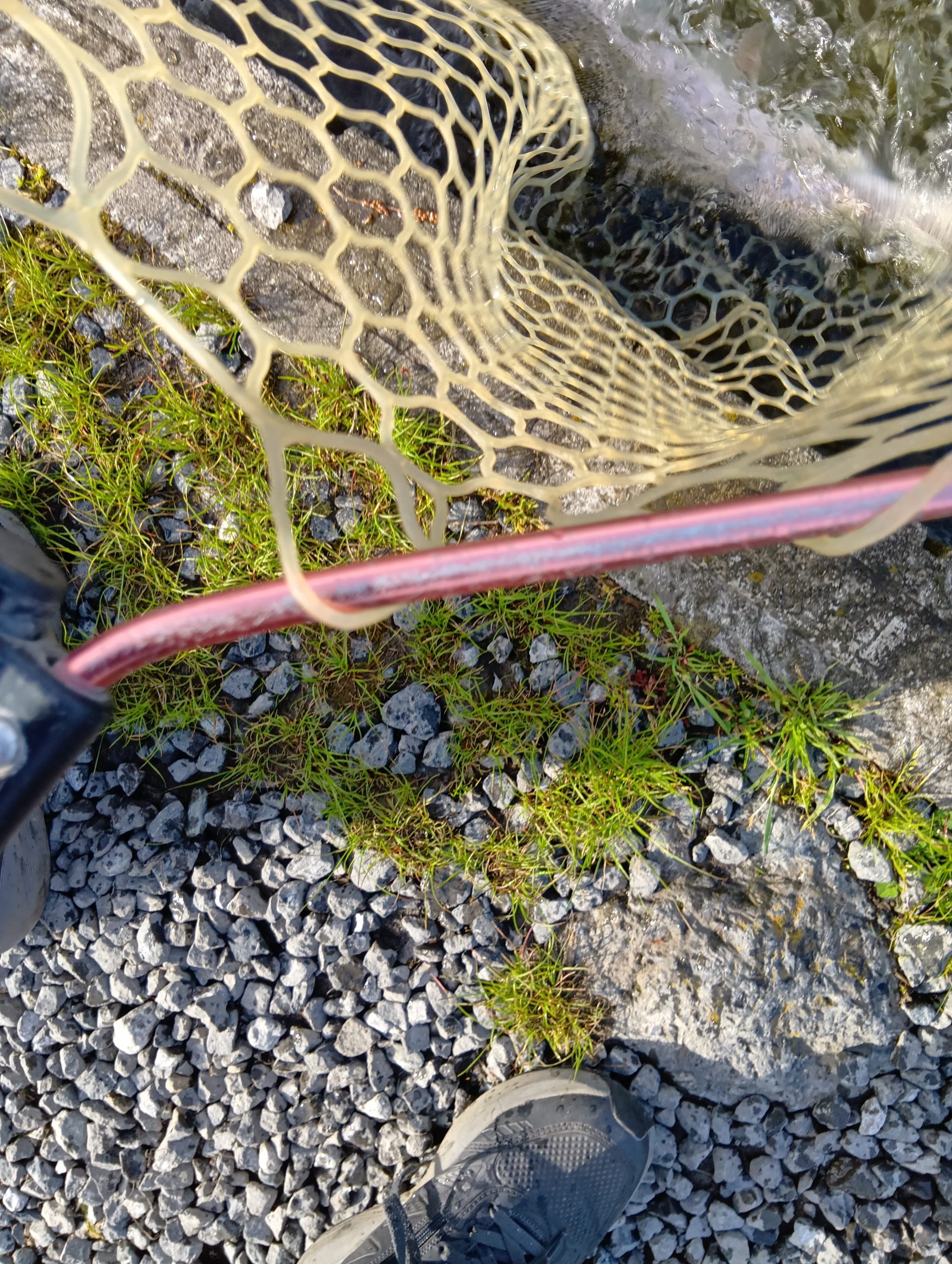 4月17日(金)　所沢市　コロレインボーさん