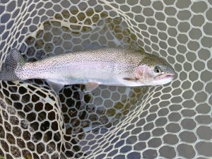 4月24日(金)所沢市　コロンレンボーさん