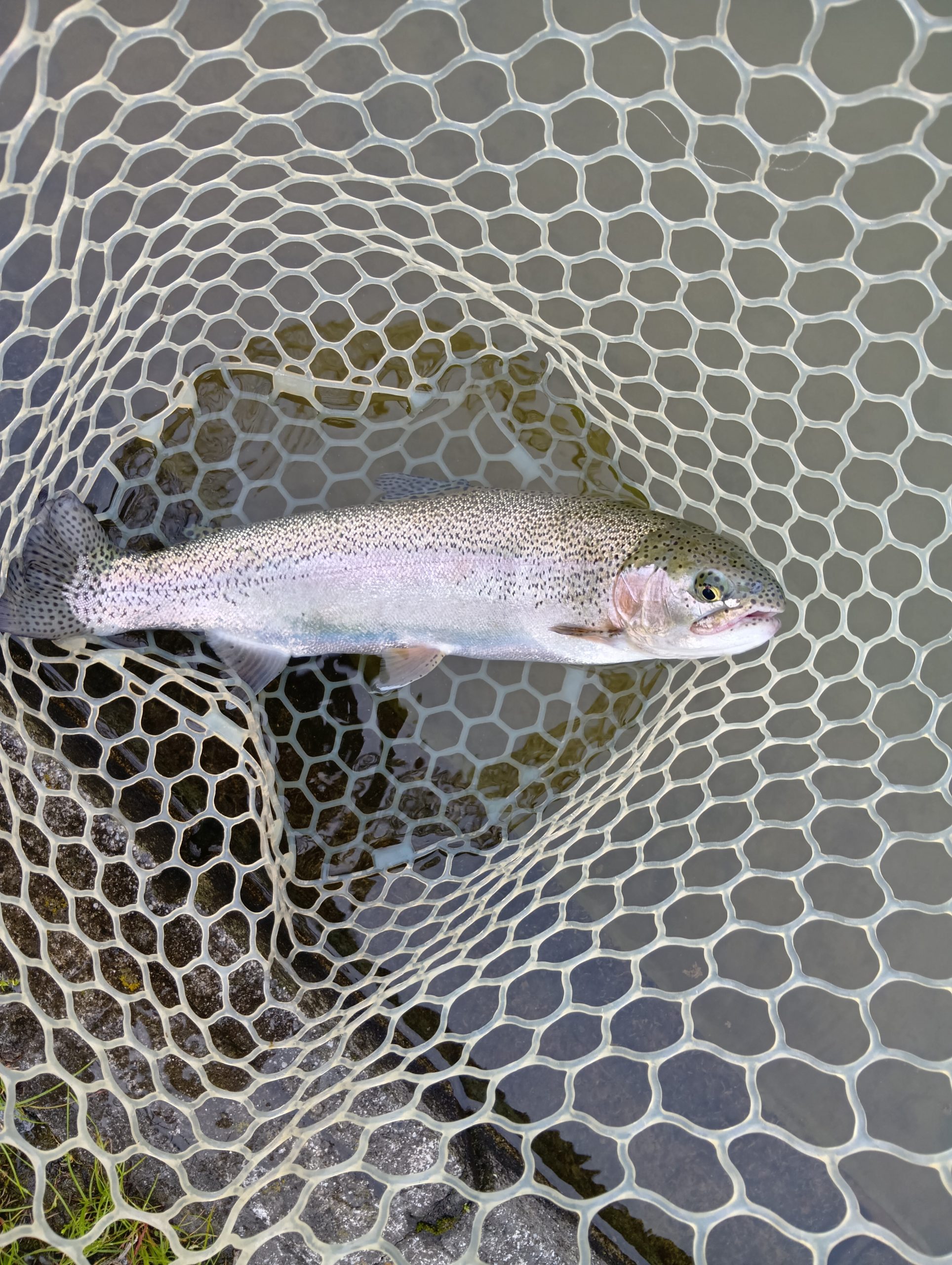 4月24日(金)所沢市　コロンレンボーさん