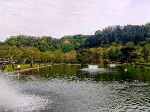 4月17日(金)　日記