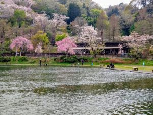 4月6日(月)　日記