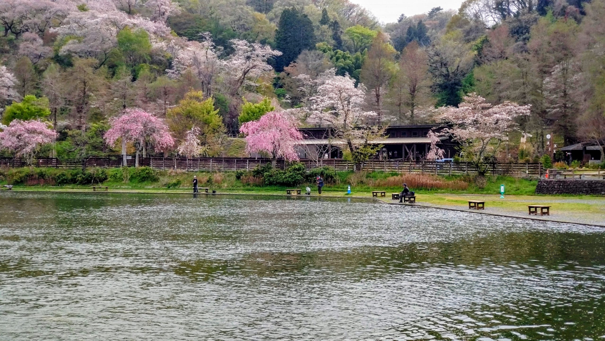 4月6日(月)　日記