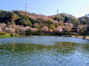 4月8日(水)　日記