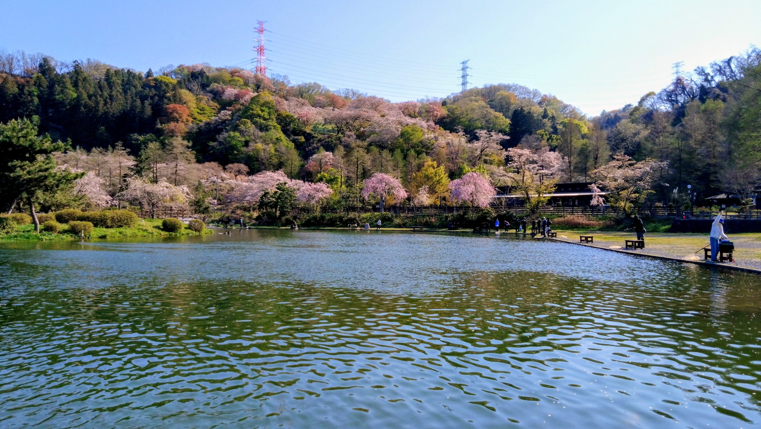 4月8日(水) 日記