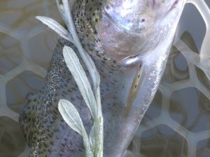 4月20日（月）福生市　ミーナさん