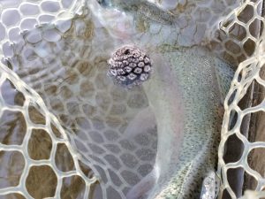 4月8日（水）坂戸市　Kさん