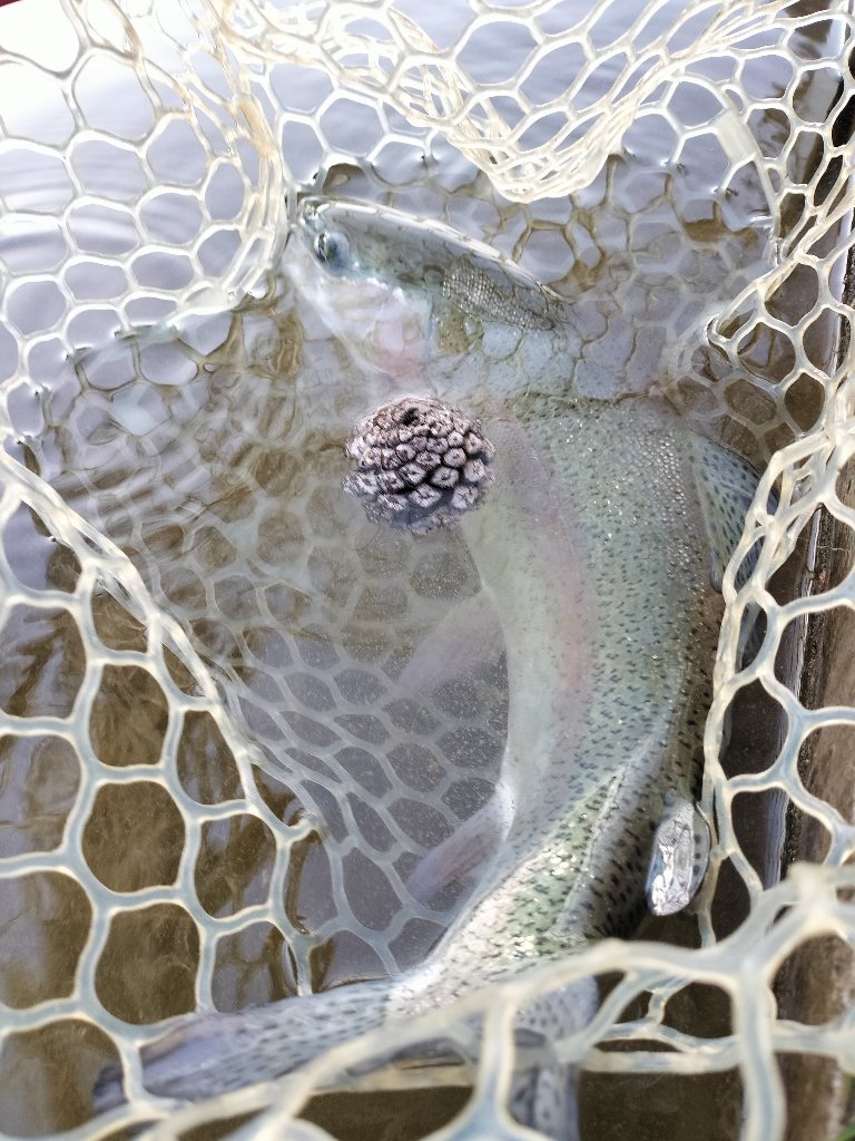 4月8日（水）坂戸市　Kさん