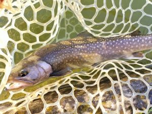 4月20日（月）坂戸市　KOさん