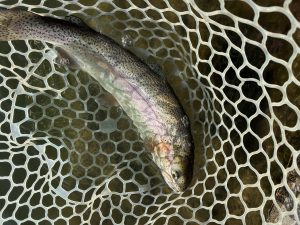 4月11日（土）三芳町　cima cima さん