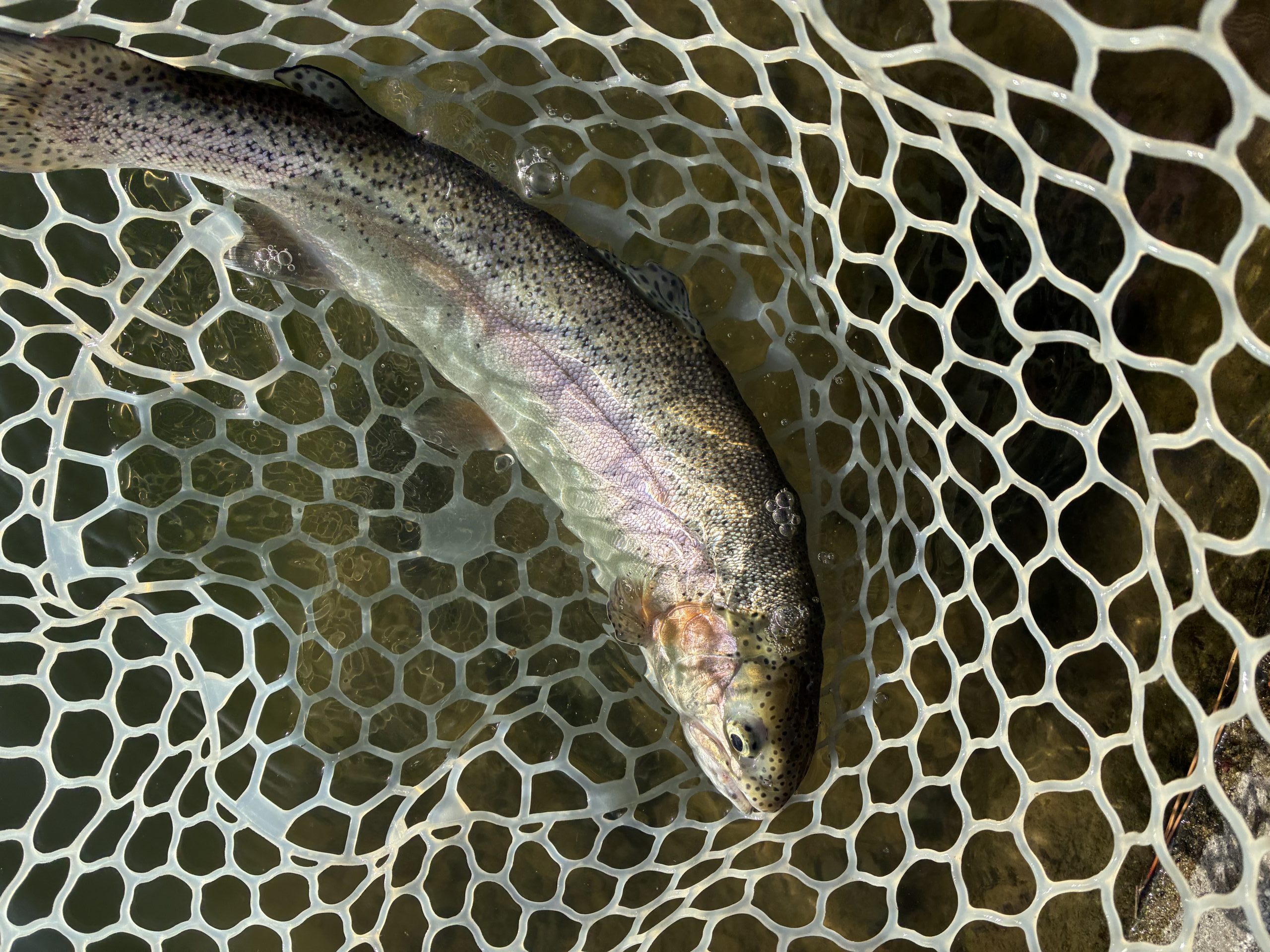 4月11日（土）三芳町　cima cima さん