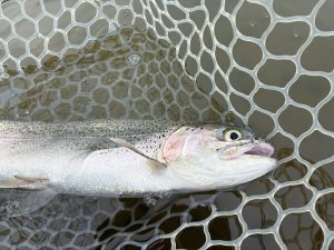 4月18日（土）三芳町　cima cima さん