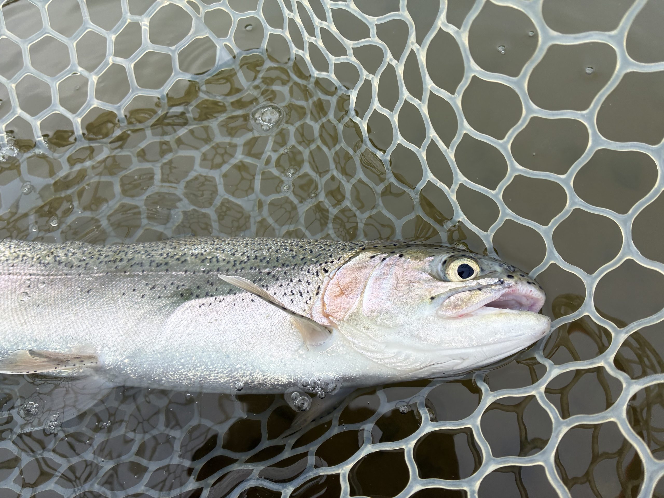 4月18日（土）三芳町　cima cima さん